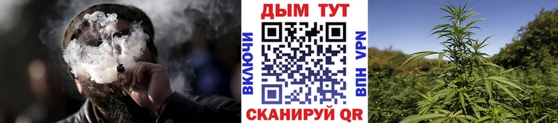 Наркошоп купить Галлюциногенные грибы Меф ГАШ Конопля Шали