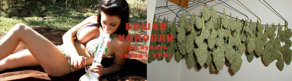 ГАЛЛЮЦИНОГЕННЫЕ ГРИБЫ Зерноград