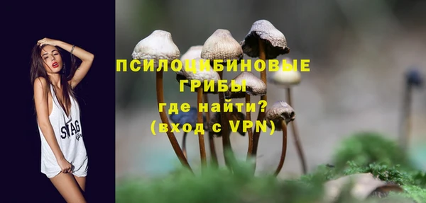 mdma Зеленокумск