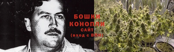 ГАЛЛЮЦИНОГЕННЫЕ ГРИБЫ Зерноград