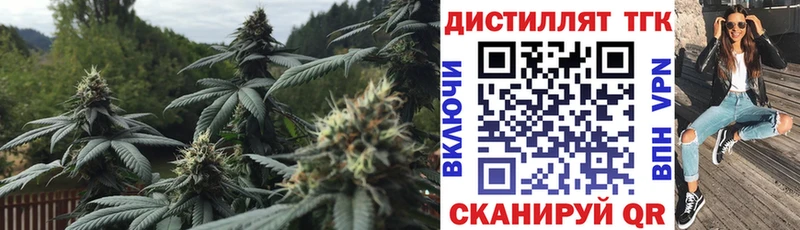 ТГК концентрат  Купить где  Шали 